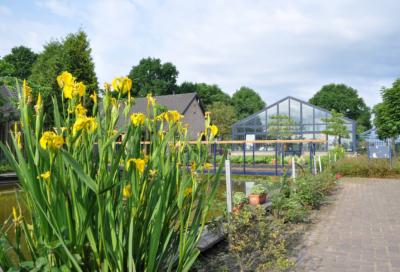Kas bij zorgboederij de Kruidentuin