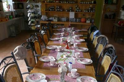 Diverse mogelijkheden voor High tea bij Zorgboederij de Kruidenhoeve
